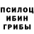 ГАШ hashish Kris Forester