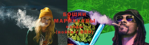 бошки Алексин
