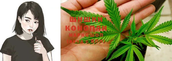 бошки Алексин