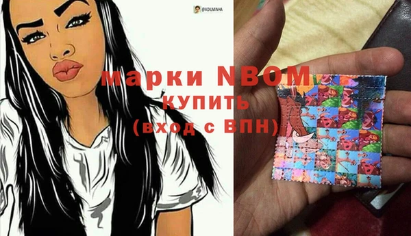 бошки Алексин