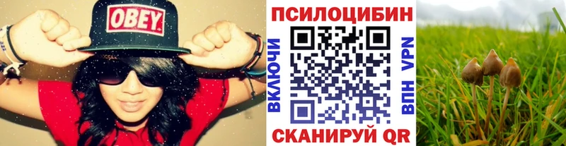 Псилоцибиновые грибы MAGIC MUSHROOMS  Ардатов 