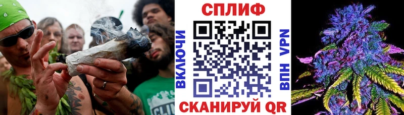 Конопля план  наркошоп  Ардатов 